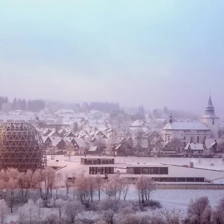 Stadtstreuner * Winterberg