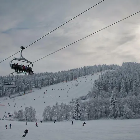 Stadtstreuner * Winterberg
