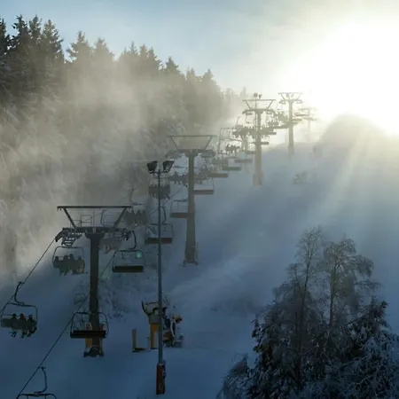 Stadtstreuner Winterberg